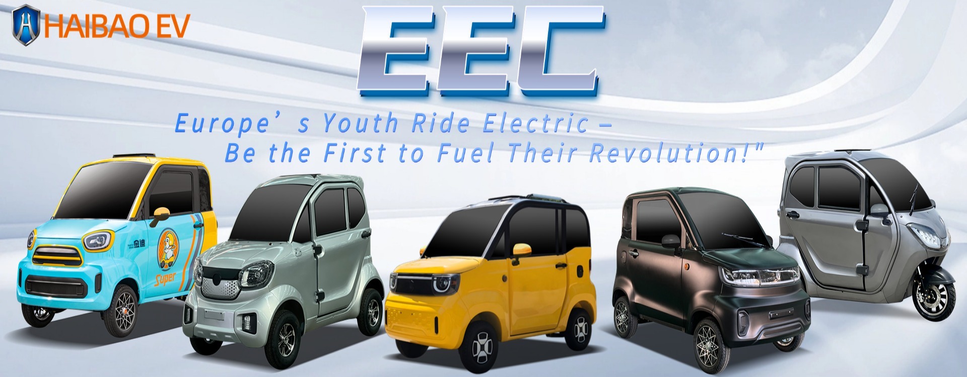 qualité Camion électrique de tricycle usine