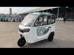 tricycle électrique de tricycle du passager 800W d'adultes de roue électrique du passager 3