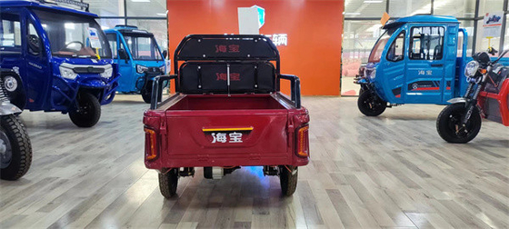 600W Electric Tricycle Cargo Bike E Cargo Tricycle  Electric Charging