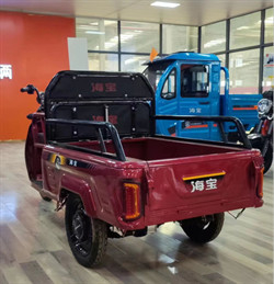 600W Electric Tricycle Cargo Bike E Cargo Tricycle  Electric Charging
