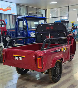 600W Electric Tricycle Cargo Bike E Cargo Tricycle  Electric Charging