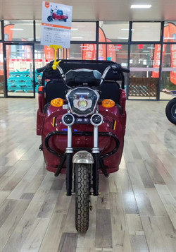 600W Electric Tricycle Cargo Bike E Cargo Tricycle  Electric Charging