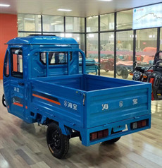 1500W Open Electric Cargo Trike Electric Cargo Motorcycle