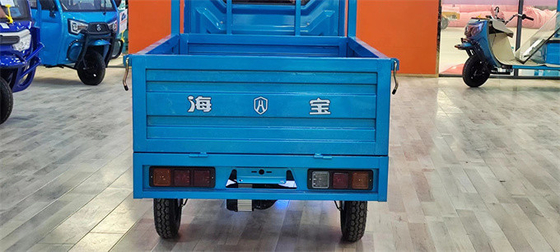 1500W Open Electric Cargo Trike Electric Cargo Motorcycle