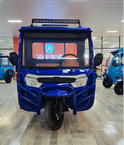 Truck Three Wheel Electric Car Cargo Electric Utility Trike Electric Charging