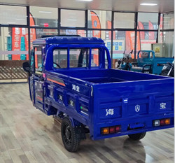 Truck Three Wheel Electric Car Cargo Electric Utility Trike Electric Charging