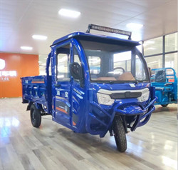 Truck Three Wheel Electric Car Cargo Electric Utility Trike Electric Charging