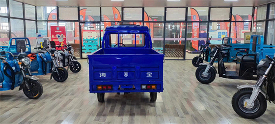 Truck Three Wheel Electric Car Cargo Electric Utility Trike Electric Charging