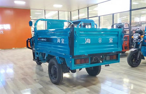 Open Electric Tricycle Truck Electric Cargo Tricycle For Adults