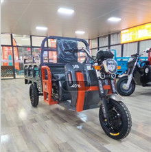 Truck E Cargo Trike Electric Delivery Trike 800W Transportation