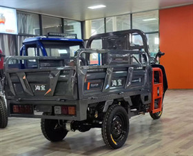 Truck E Cargo Trike Electric Delivery Trike 800W Transportation