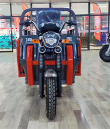 Truck E Cargo Trike Electric Delivery Trike 800W Transportation