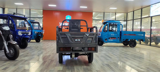 Truck E Cargo Trike Electric Delivery Trike 800W Transportation