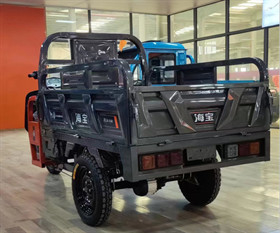 Truck E Cargo Trike Electric Delivery Trike 800W Transportation