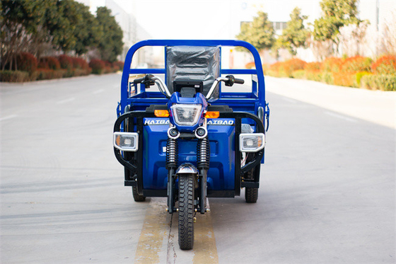 Blue Utility Electric Tricycle Truck Cargo E Trike Truck 1000W