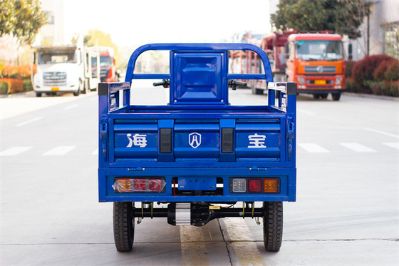 Blue Utility Electric Tricycle Truck Cargo E Trike Truck 1000W