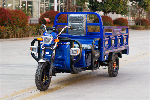 Blue Utility Electric Tricycle Truck Cargo E Trike Truck 1000W