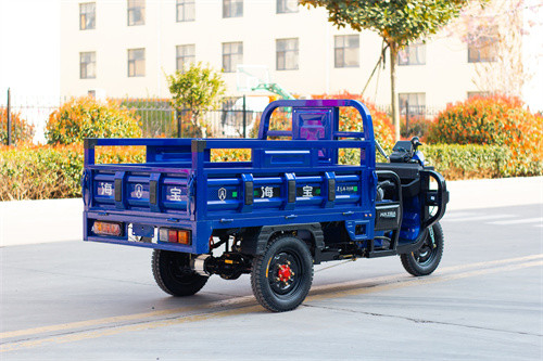 Blue Utility Electric Tricycle Truck Cargo E Trike Truck 1000W