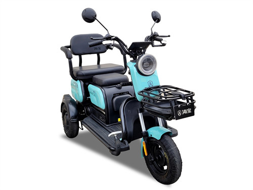 Convenient Leisure Electric Tricycle 600W Leisure Tricycle Electric Bike