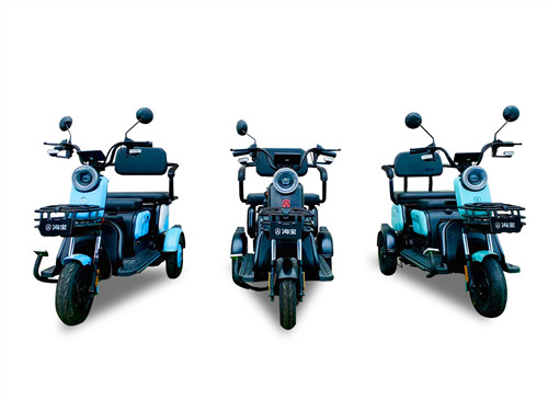 Convenient Leisure Electric Tricycle 600W Leisure Tricycle Electric Bike