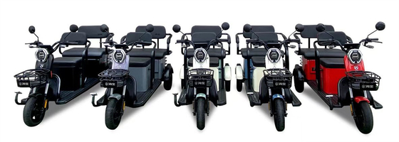 800w Leisure Electric Tricycle  Open Three Wheel Electric Bike