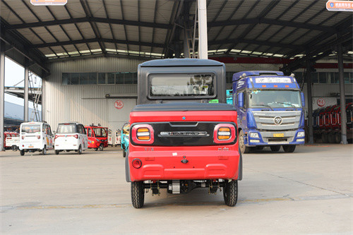 2 Doors Enclosed Electric Tricycle 1000W Electric Tricycle Passenger