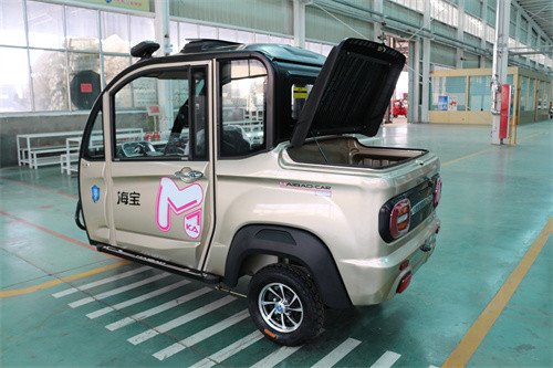 2 Doors Enclosed Electric Tricycle 1000W Electric Tricycle Passenger
