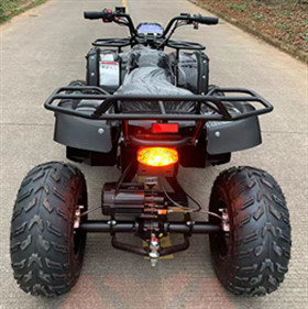 Universal Off Road Electric Atv Transport All Terrain Off Road Vehicles