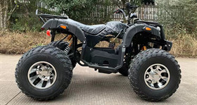 1500W Electric All Terrain Vehicles Passenger Atv All Terrain Vehicle