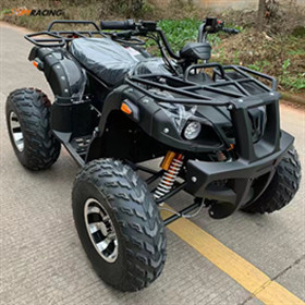 1500W Electric All Terrain Vehicles Passenger Atv All Terrain Vehicle