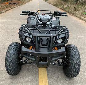 1500W Electric All Terrain Vehicles Passenger Atv All Terrain Vehicle