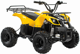Yellow Electric All Terrain ATV UTV  Passenger All Terrain Utility Vehicle