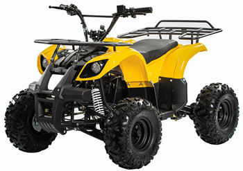 Electric Off Road 4 Wheel Bike  All Terrain Vehicles CPSC Four Wheeler Off Road