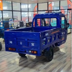 Truck Three Wheel Electric Car Cargo Electric Utility Trike Electric Charging