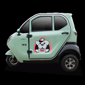 Cute Passenger Electric Tricycle 1000W Enclosed Tricycle For Adults