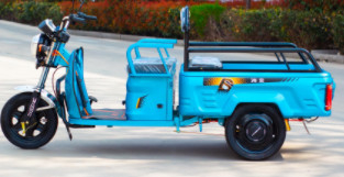 48V - 60V 500W Adult Small Electric Cargo Tricycle Scooter Family Use