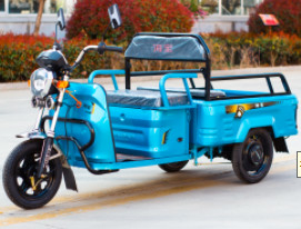 48V - 60V 500W Adult Small Electric Cargo Tricycle Scooter Family Use