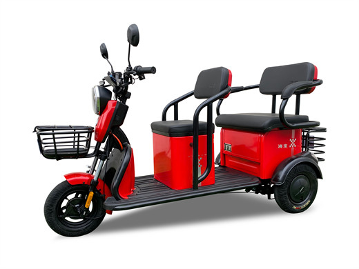 800w Leisure Electric Tricycle  Open Three Wheel Electric Bike