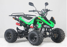 Electric ATV UTV  Off Road Four Wheeler Quad Dirt Bikes Open