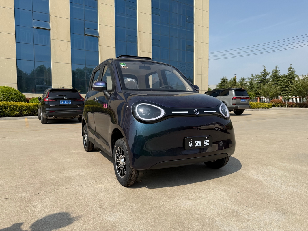 Linglong 3000WD/5000WD New five-door four-seat four-wheeled electric vehicle